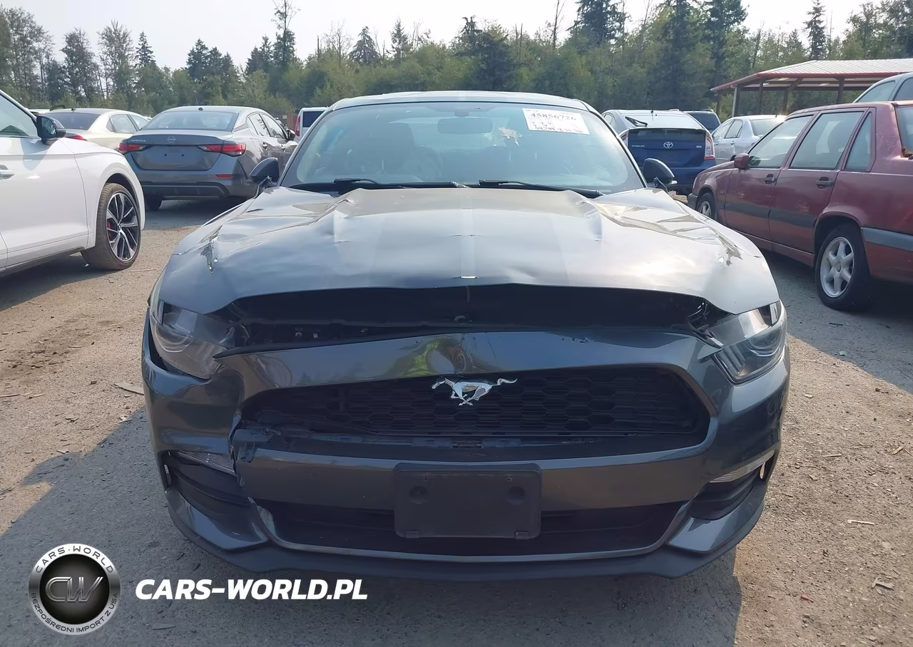 2016 Ford Mustang V6 VIN:1FA6P8AM9G5295186 - 12