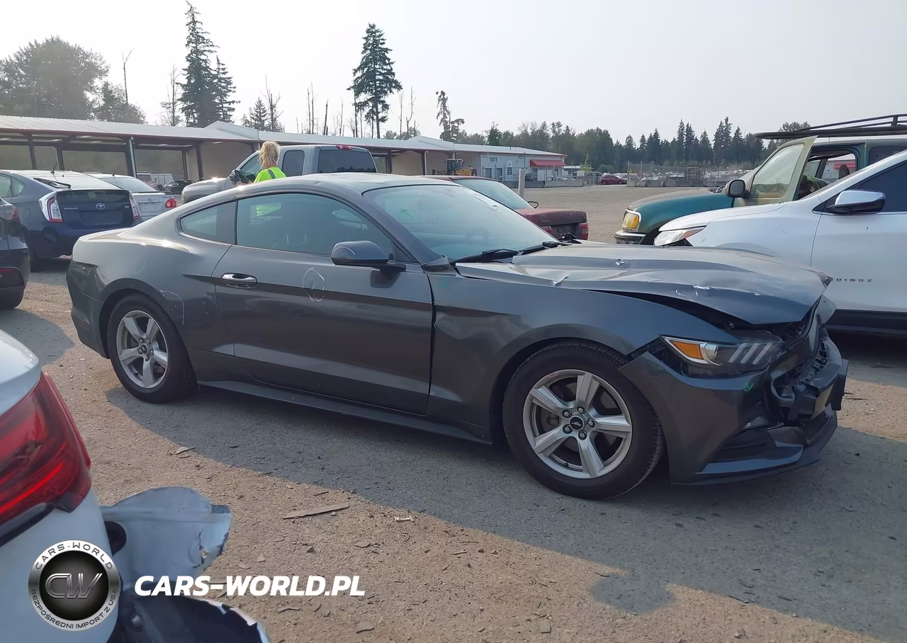 2016 Ford Mustang V6 VIN:1FA6P8AM9G5295186 - 13