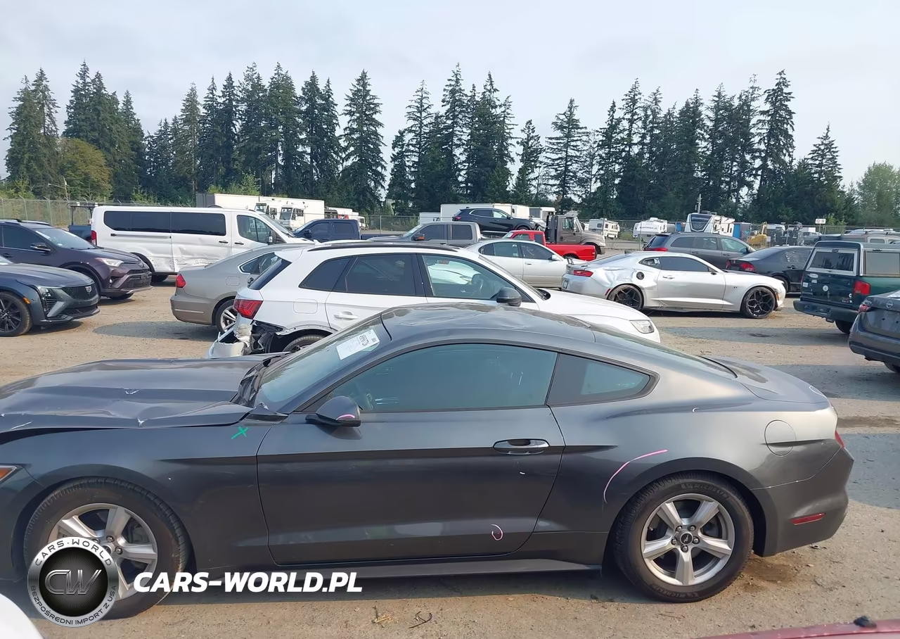 2016 Ford Mustang V6 VIN:1FA6P8AM9G5295186 - 14