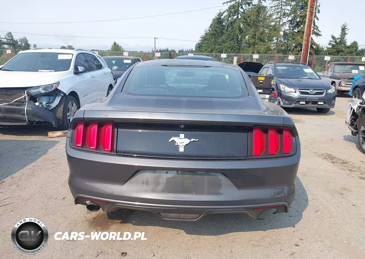 2016 Ford Mustang V6 VIN:1FA6P8AM9G5295186 - 16