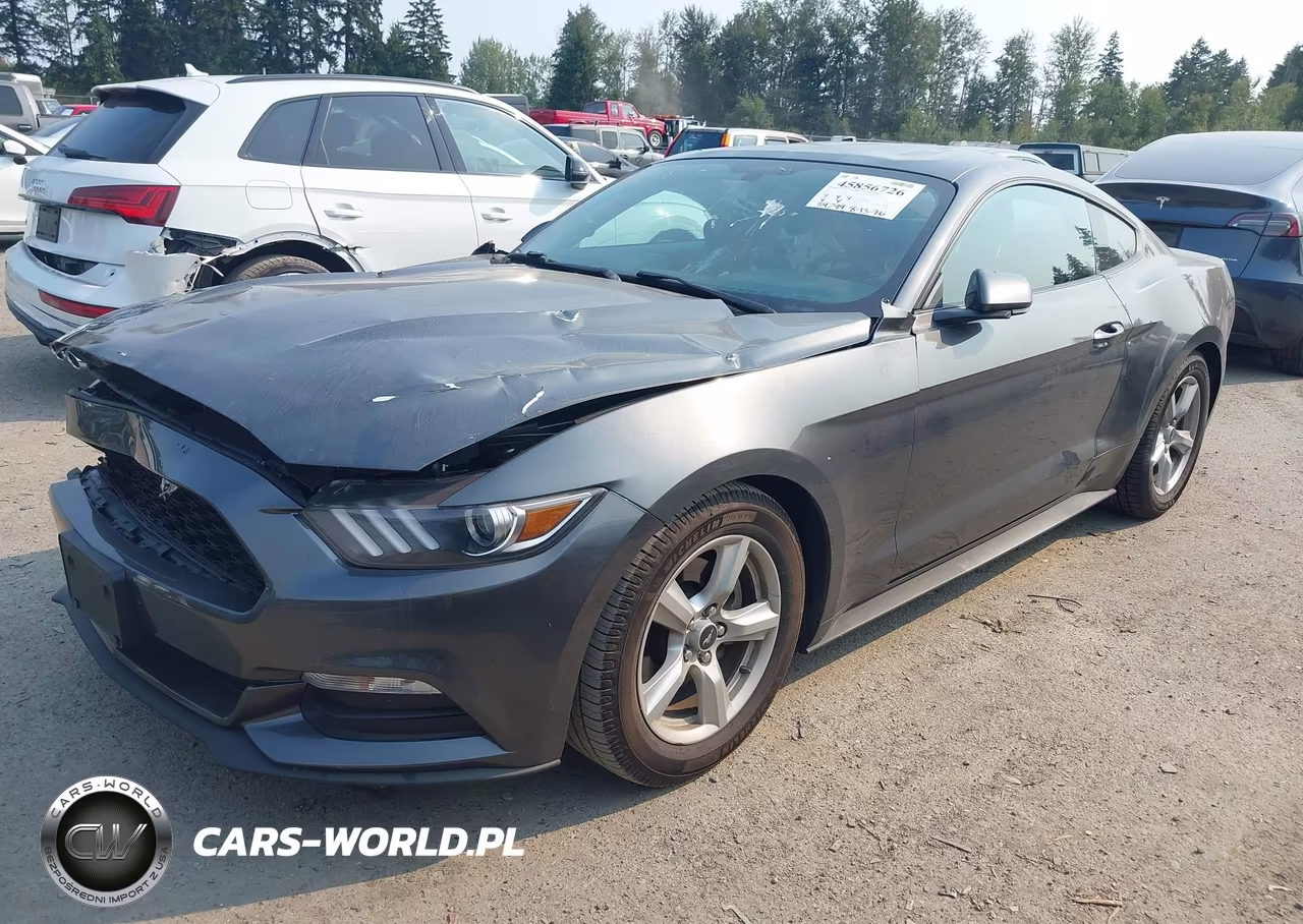 2016 Ford Mustang V6 VIN:1FA6P8AM9G5295186 - 2