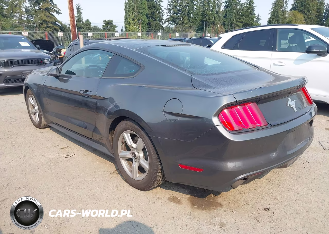 2016 Ford Mustang V6 VIN:1FA6P8AM9G5295186 - 3