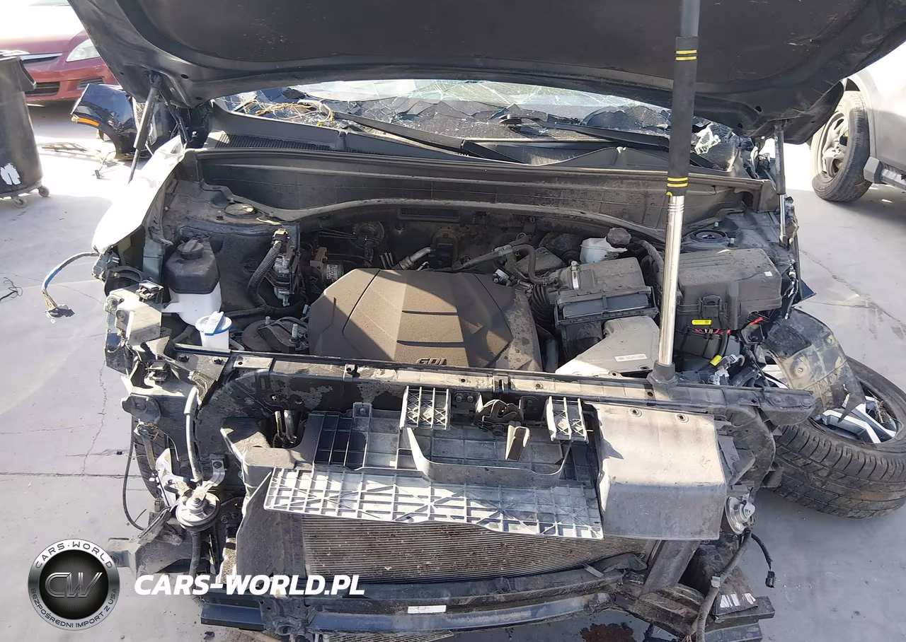 2024 Hyundai Palisade Limited VIN:KM8R54GE8RU736414 - 10
