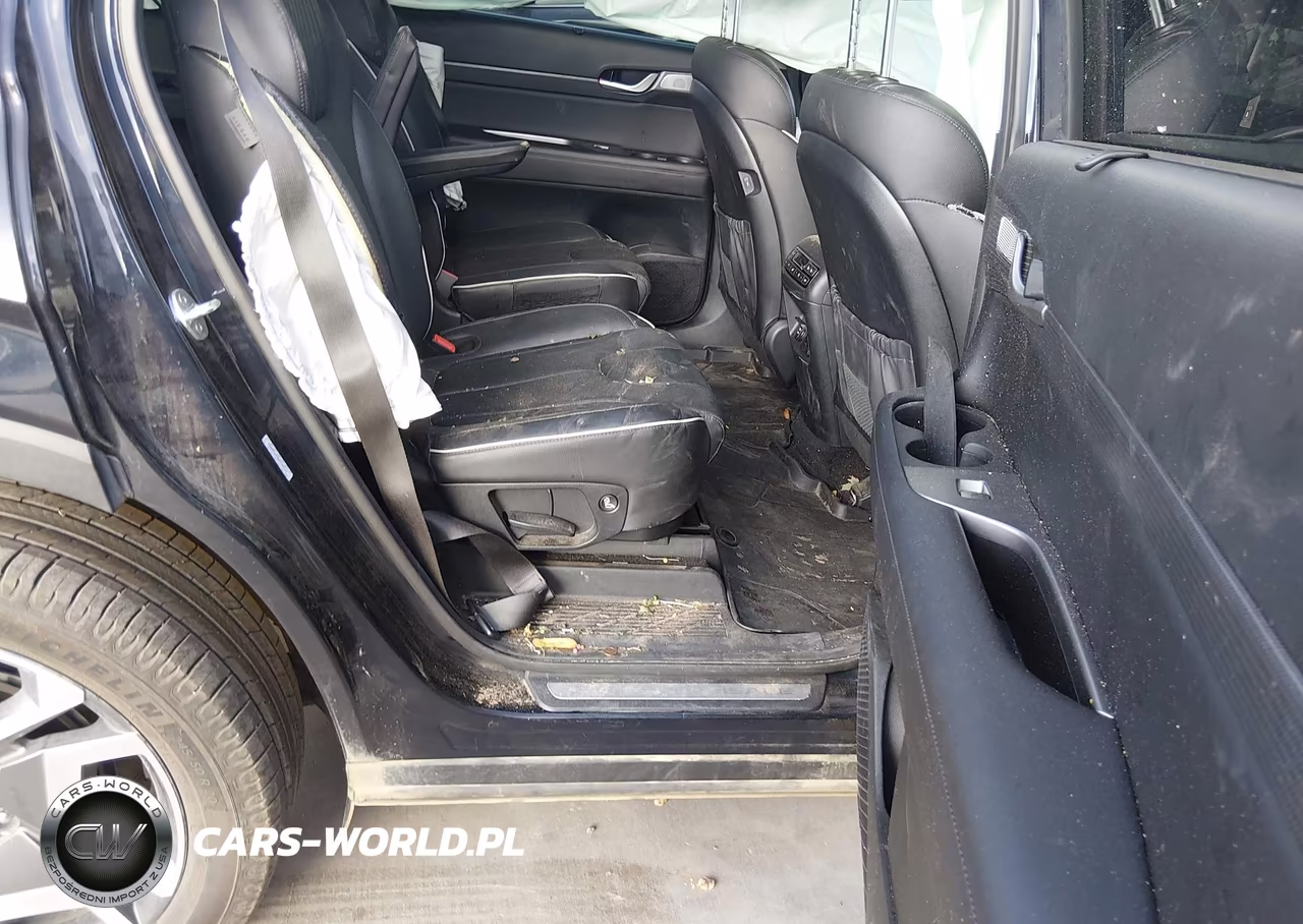 2024 Hyundai Palisade Limited VIN:KM8R54GE8RU736414 - 8
