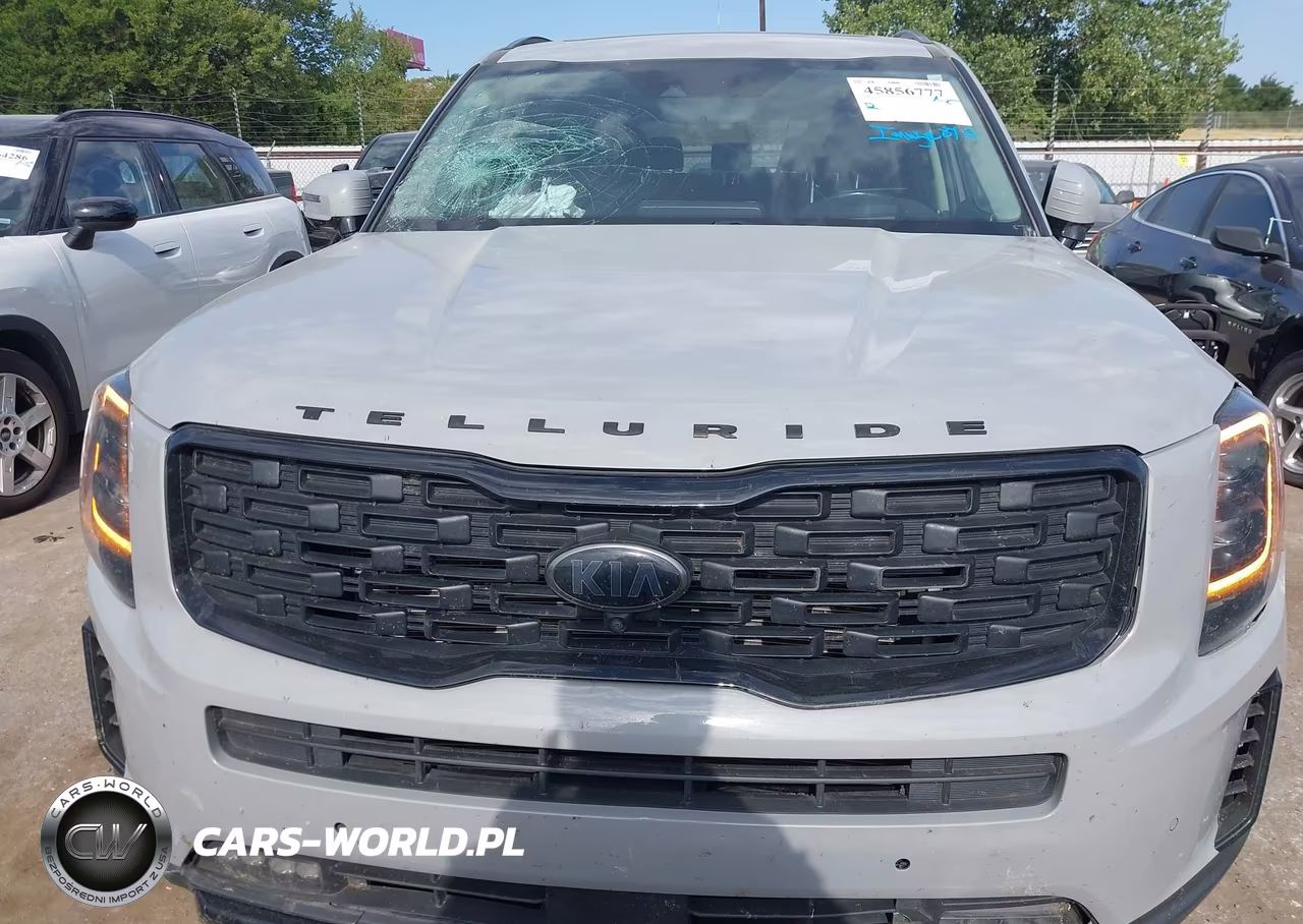 2021 Kia Telluride Sx VIN:5XYP5DHC1MG169532 - 12