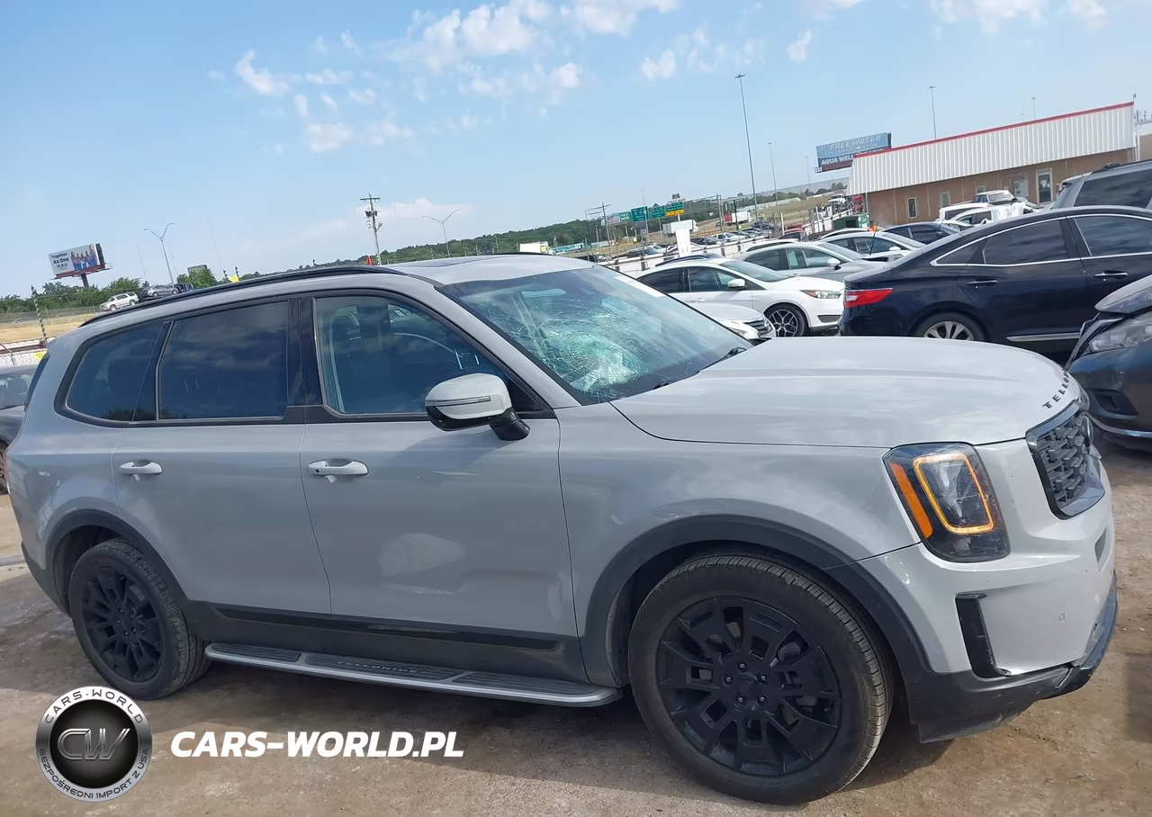 2021 Kia Telluride Sx VIN:5XYP5DHC1MG169532 - 13