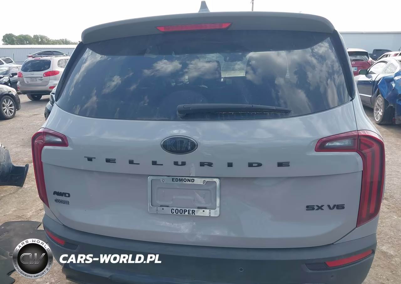 2021 Kia Telluride Sx VIN:5XYP5DHC1MG169532 - 16
