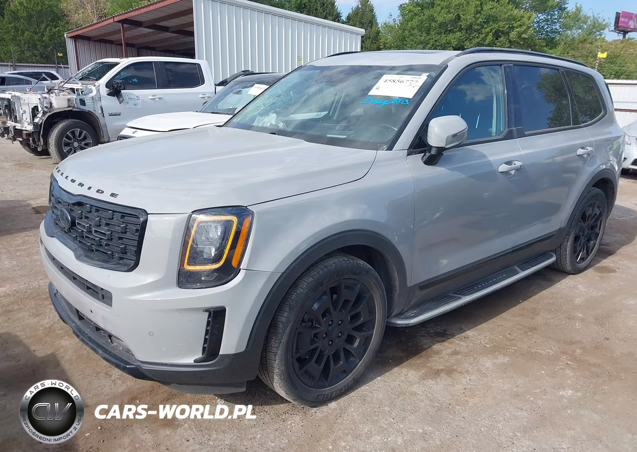 2021 Kia Telluride Sx VIN:5XYP5DHC1MG169532 - 2
