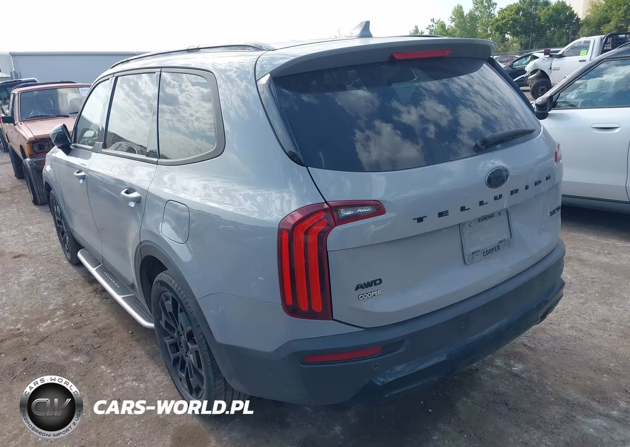 2021 Kia Telluride Sx VIN:5XYP5DHC1MG169532 - 3