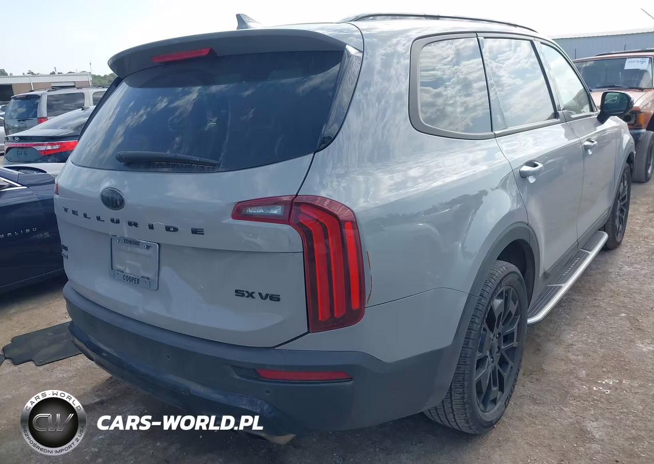 2021 Kia Telluride Sx VIN:5XYP5DHC1MG169532 - 4