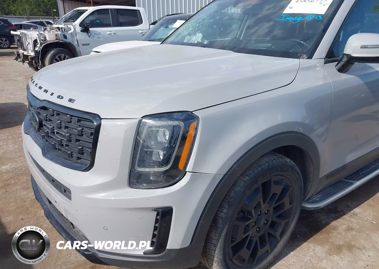 2021 Kia Telluride Sx VIN:5XYP5DHC1MG169532 - 6
