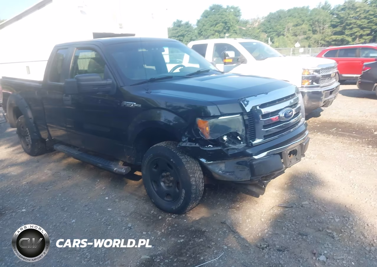 2010 Ford F-150 Xlt – zdjęcie 1 z 16