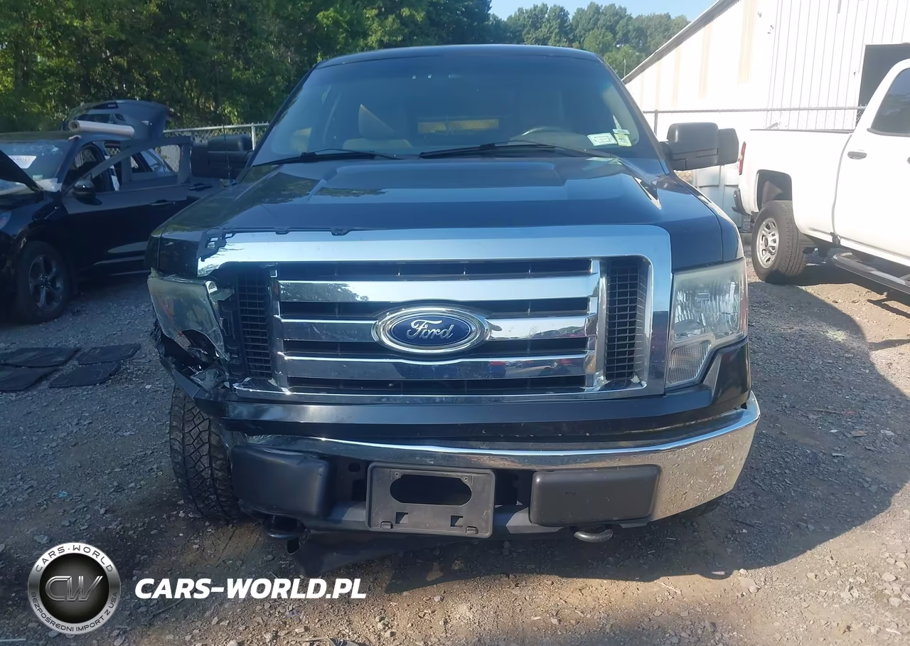 2010 Ford F-150 Xlt VIN:1FTEX1E88AFB40401 - 12
