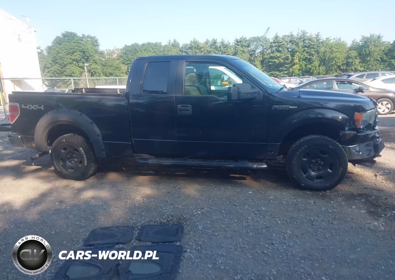 2010 Ford F-150 Xlt VIN:1FTEX1E88AFB40401 - 13