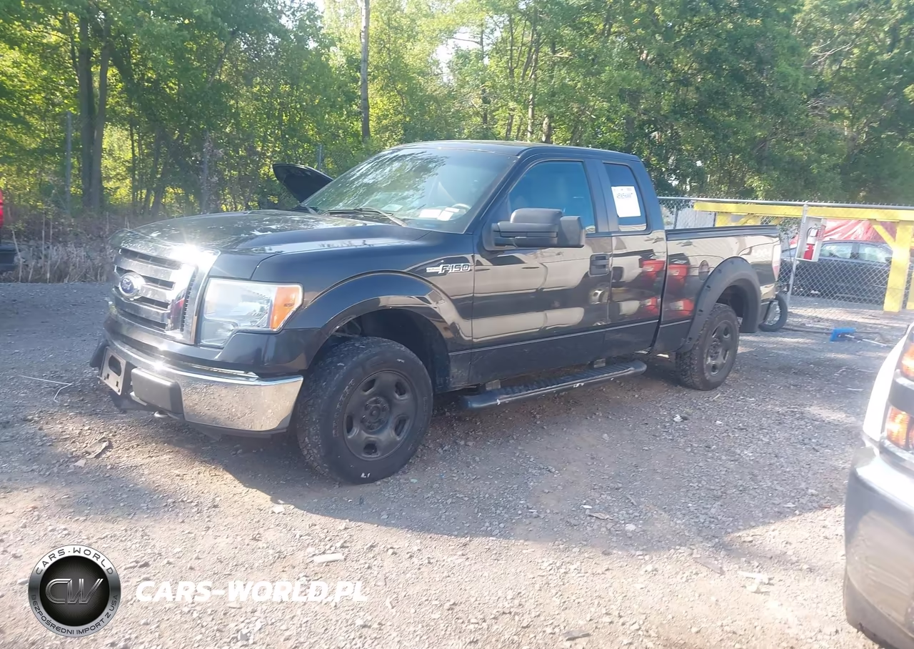 2010 Ford F-150 Xlt VIN:1FTEX1E88AFB40401 - 2