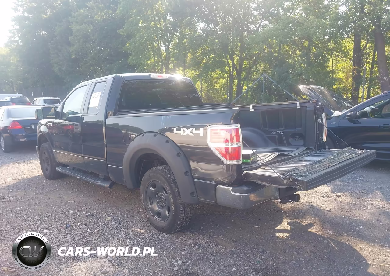 2010 Ford F-150 Xlt VIN:1FTEX1E88AFB40401 - 3