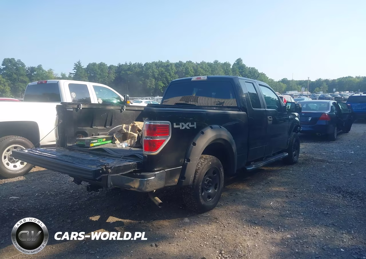 2010 Ford F-150 Xlt VIN:1FTEX1E88AFB40401 - 4