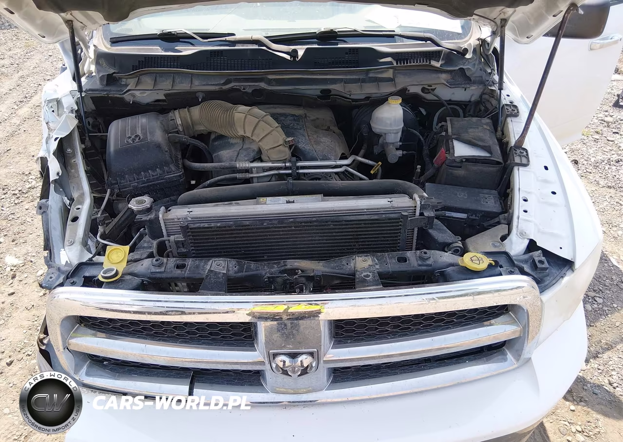 2010 Dodge Ram 1500 Slt-Sport-Trx VIN:1D7RV1CT6AS125164 - 10