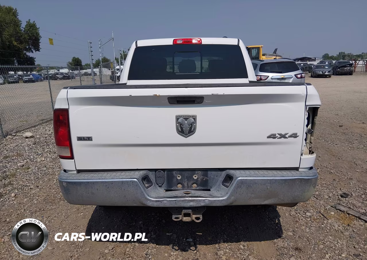 2010 Dodge Ram 1500 Slt-Sport-Trx VIN:1D7RV1CT6AS125164 - 17