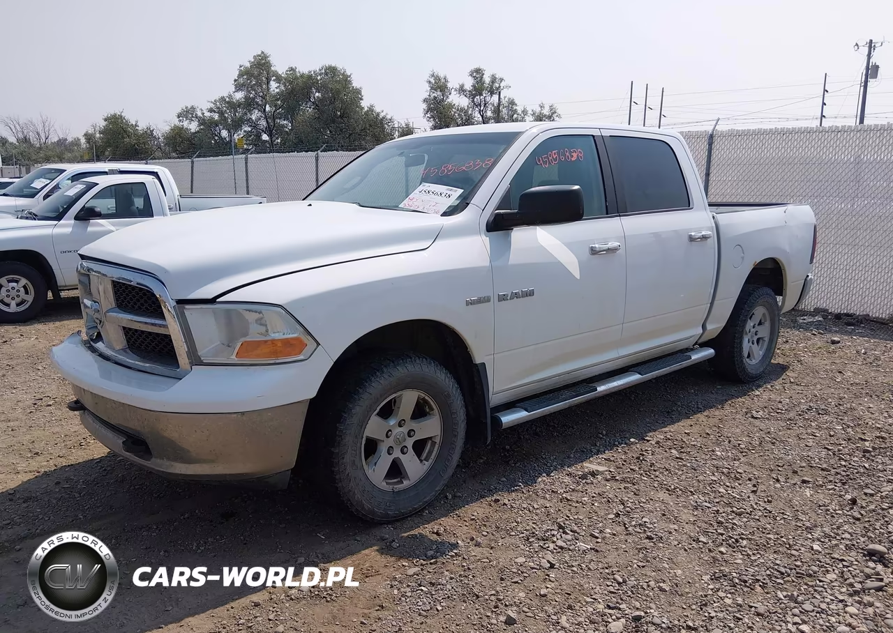 2010 Dodge Ram 1500 Slt-Sport-Trx VIN:1D7RV1CT6AS125164 - 2