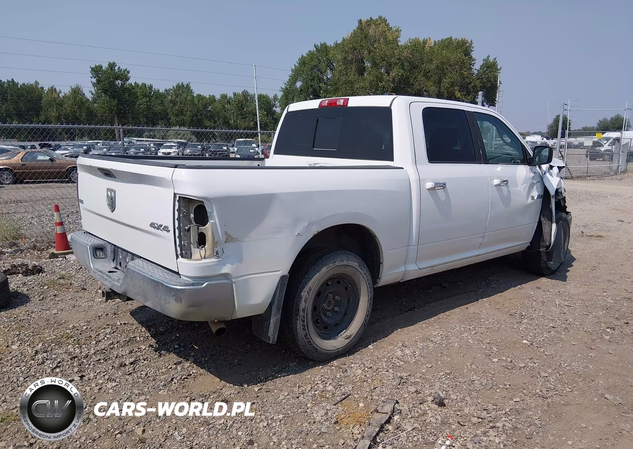 2010 Dodge Ram 1500 Slt-Sport-Trx VIN:1D7RV1CT6AS125164 - 4