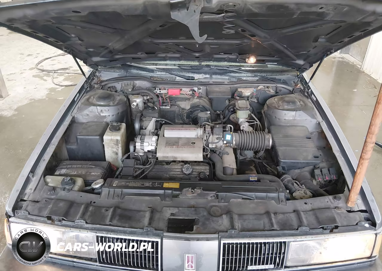 1988 Oldsmobile Delta 88 Royale Brougham VIN:1G3HY54CXJW383523 - 10