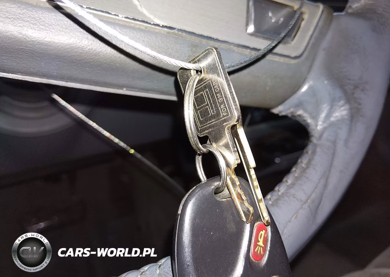 1988 Oldsmobile Delta 88 Royale Brougham VIN:1G3HY54CXJW383523 - 11