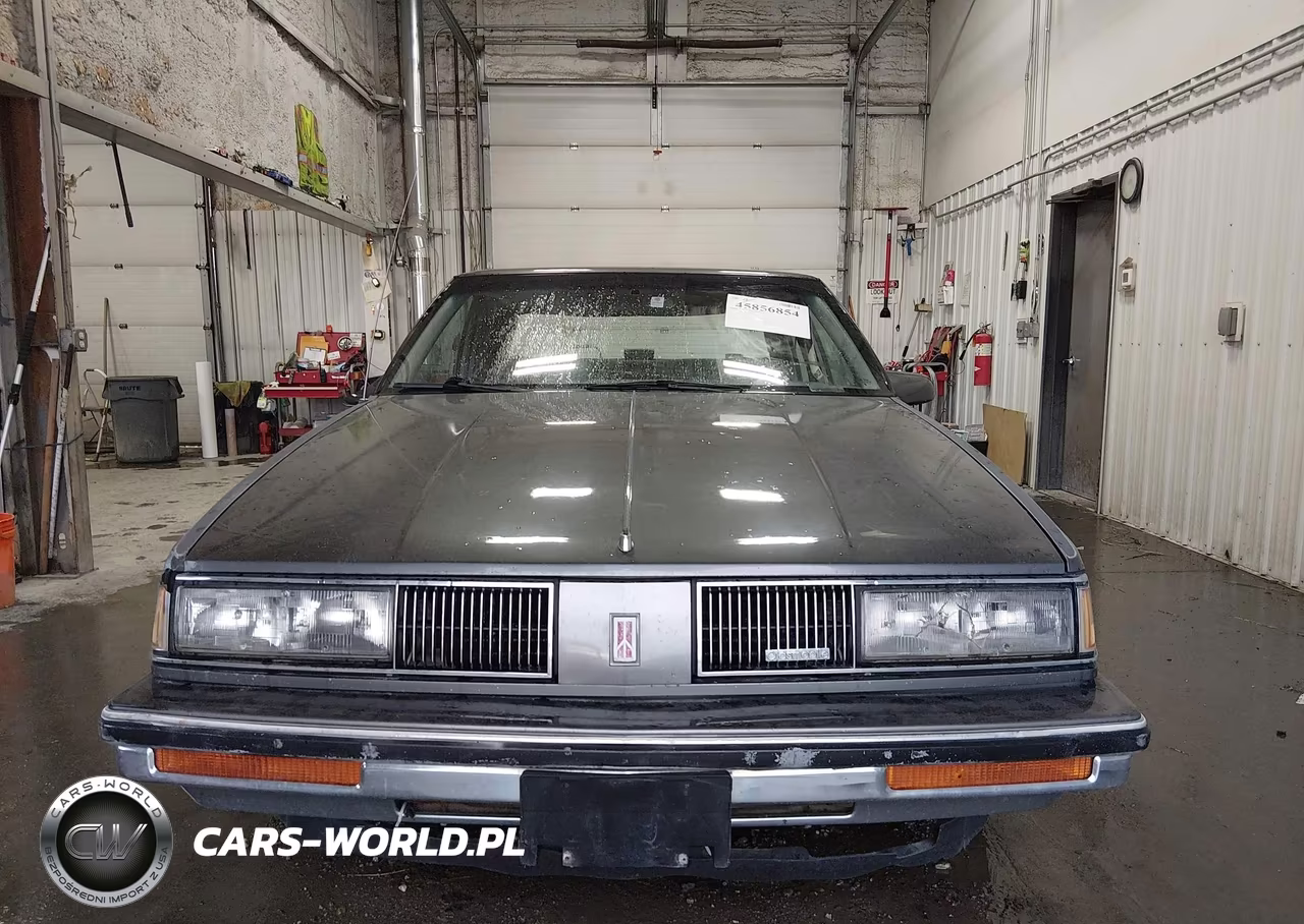 1988 Oldsmobile Delta 88 Royale Brougham VIN:1G3HY54CXJW383523 - 12
