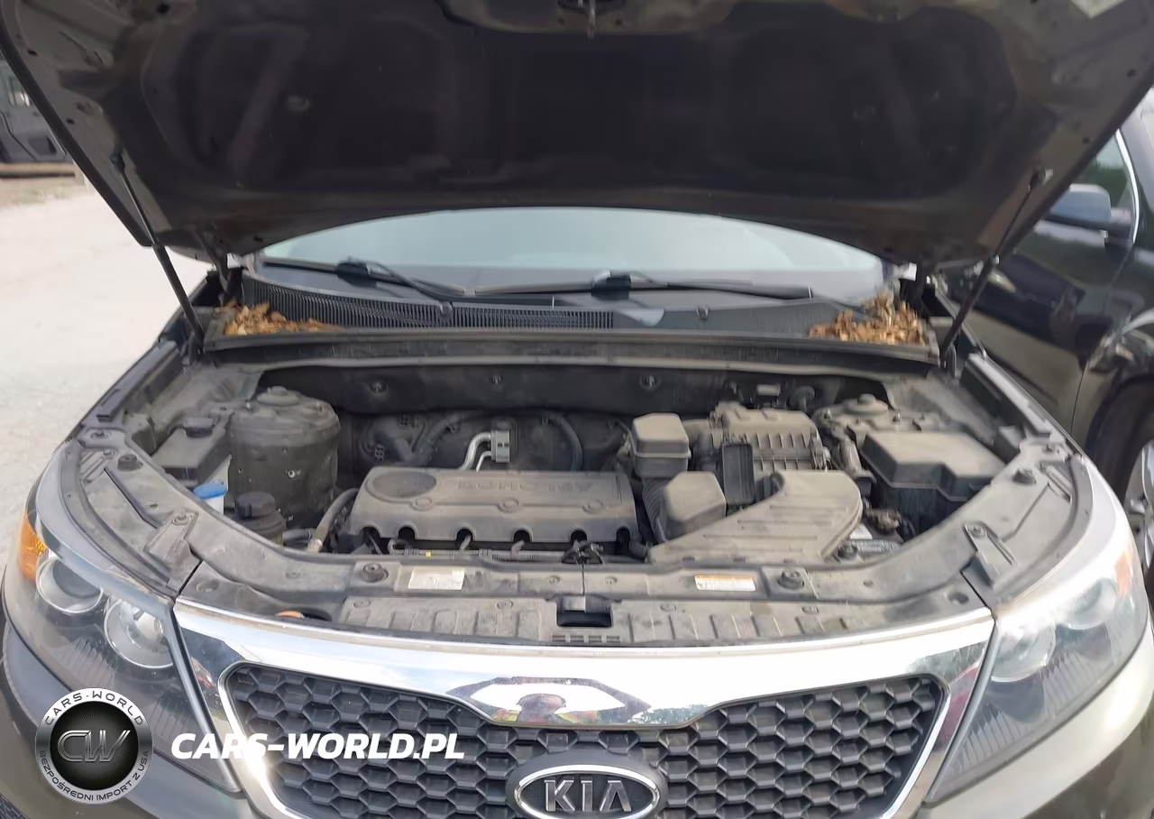 2013 Kia Sorento Lx VIN:5XYKT3A1XDG317096 - 10