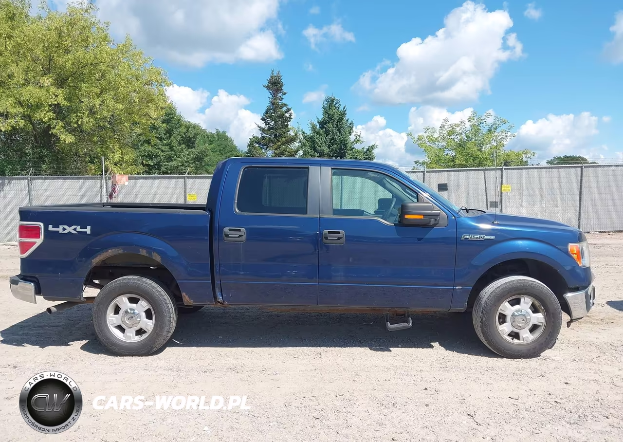 2010 Ford F-150 Xl-Xlt VIN:1FTEW1E87AFB91147 - 13