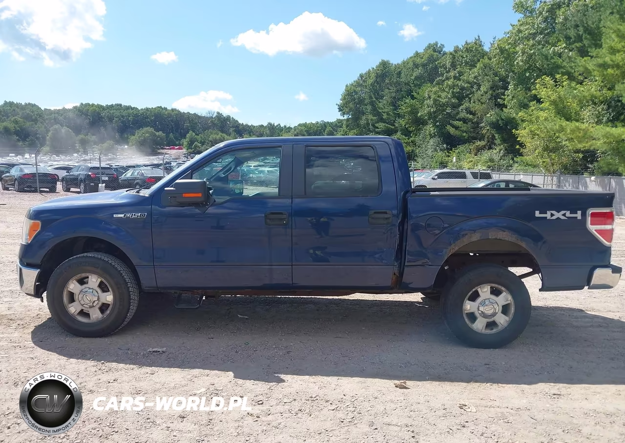 2010 Ford F-150 Xl-Xlt VIN:1FTEW1E87AFB91147 - 14