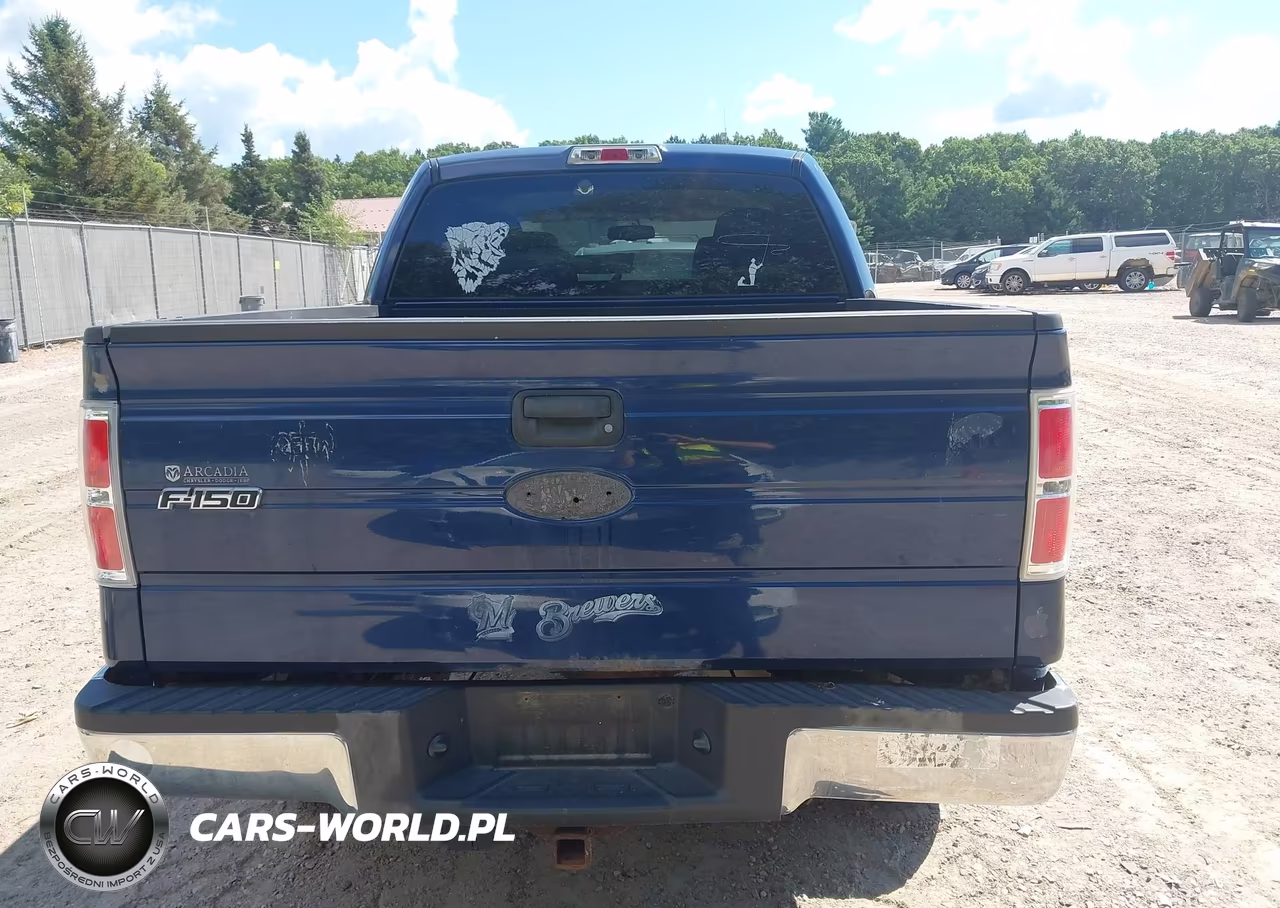 2010 Ford F-150 Xl-Xlt VIN:1FTEW1E87AFB91147 - 16