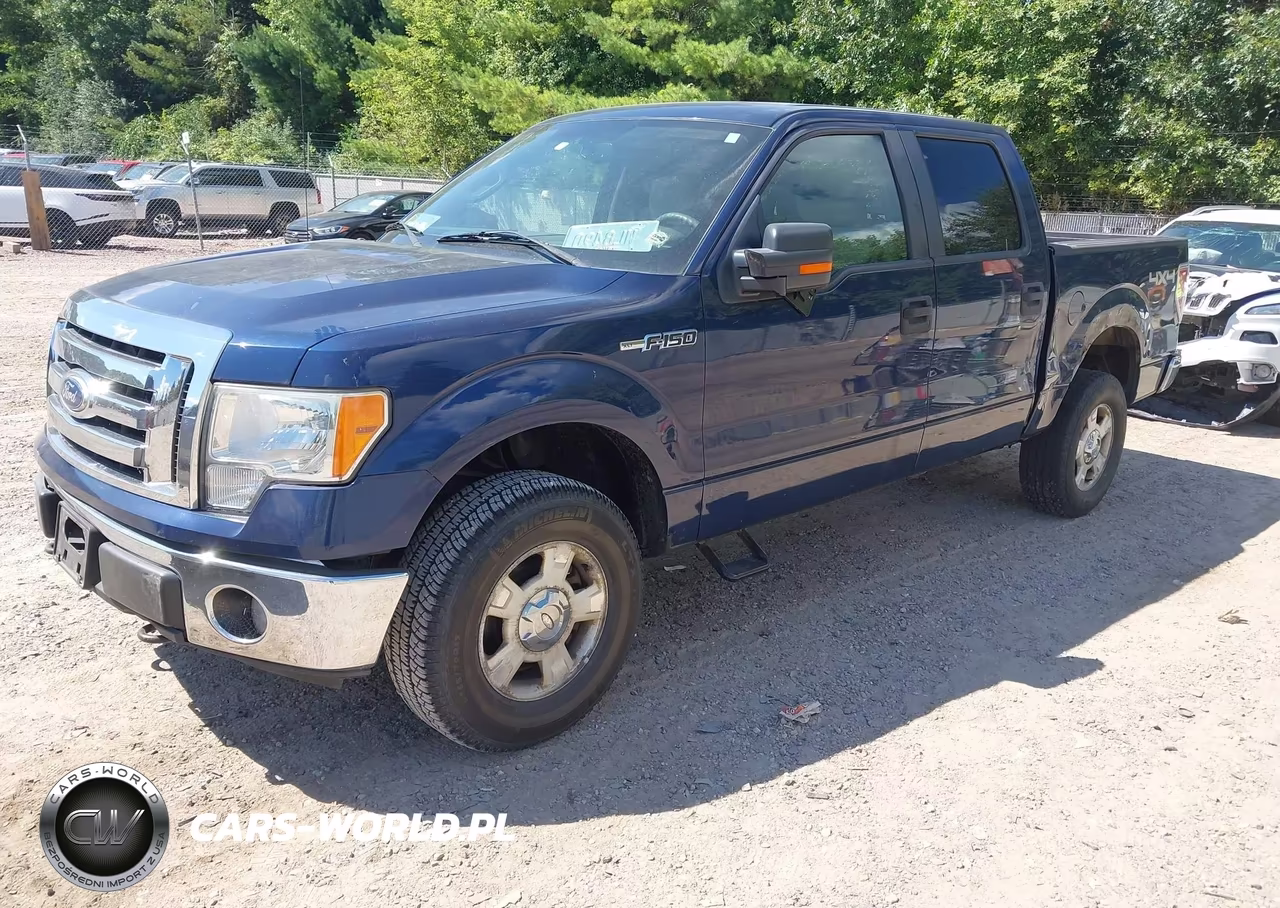2010 Ford F-150 Xl-Xlt VIN:1FTEW1E87AFB91147 - 2
