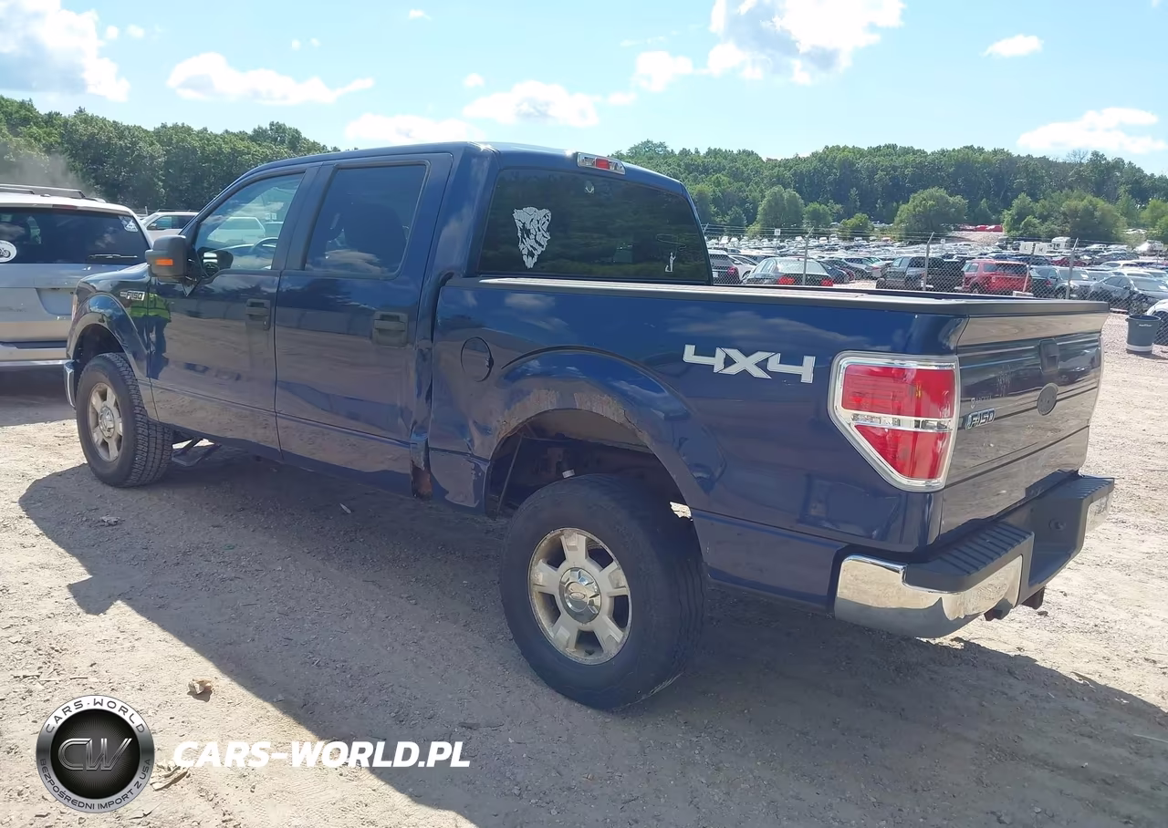 2010 Ford F-150 Xl-Xlt VIN:1FTEW1E87AFB91147 - 3