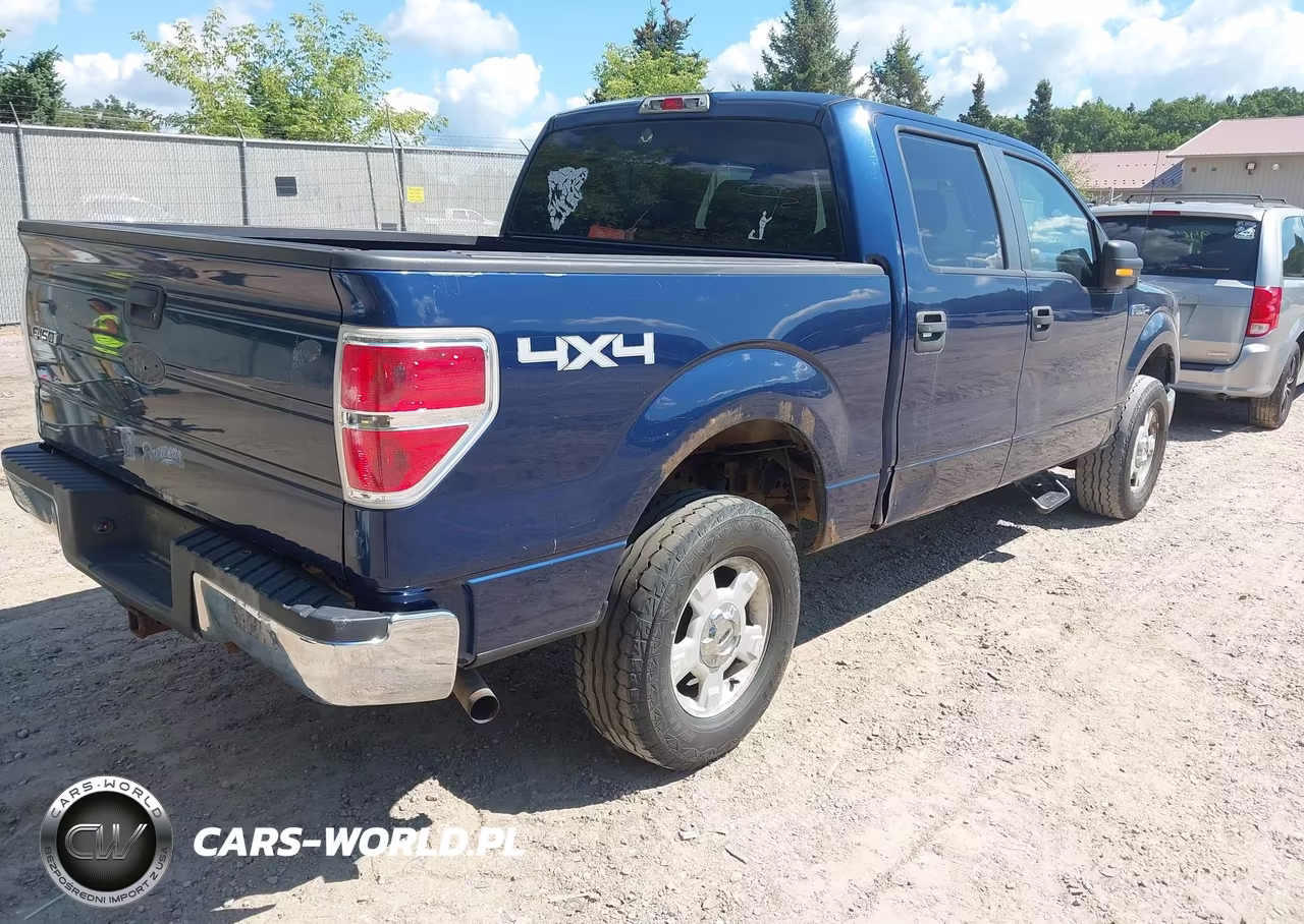 2010 Ford F-150 Xl-Xlt VIN:1FTEW1E87AFB91147 - 4