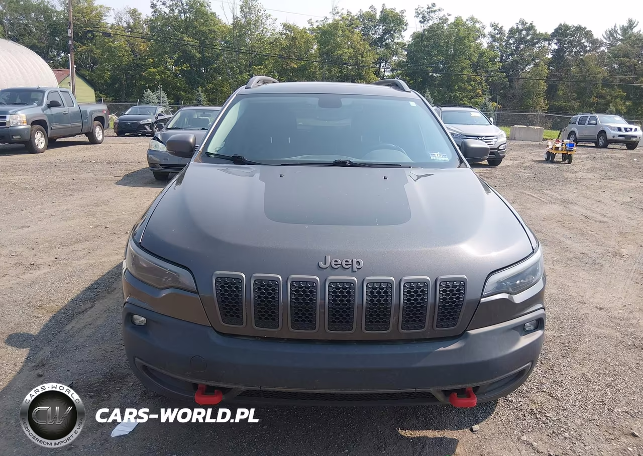 2019 Jeep Cherokee Trailhawk 4X4 VIN:1C4PJMBX1KD310361 - 12