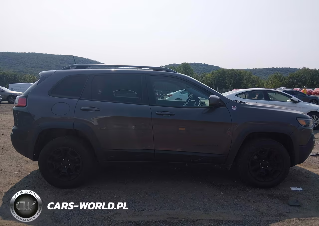 2019 Jeep Cherokee Trailhawk 4X4 VIN:1C4PJMBX1KD310361 - 13