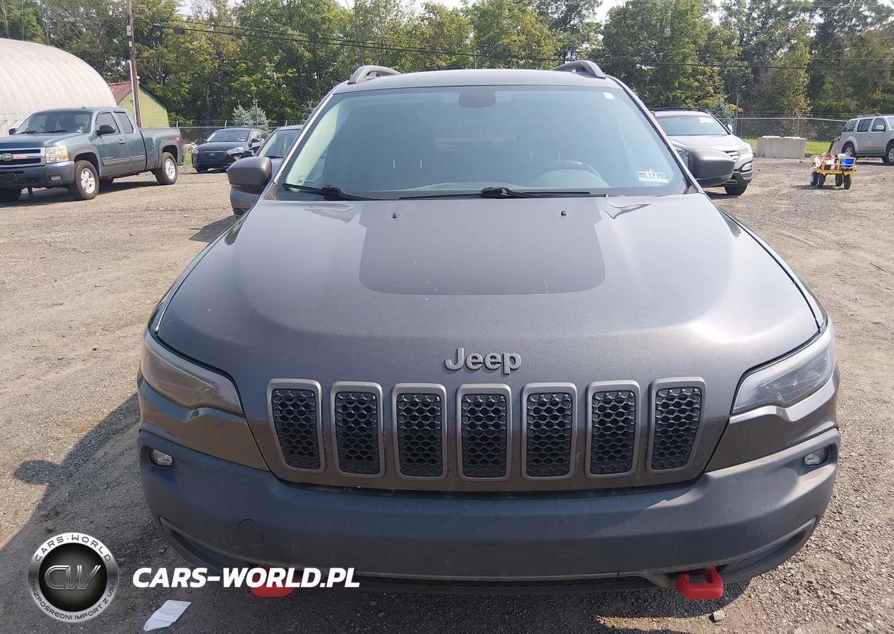 2019 Jeep Cherokee Trailhawk 4X4 VIN:1C4PJMBX1KD310361 - 6