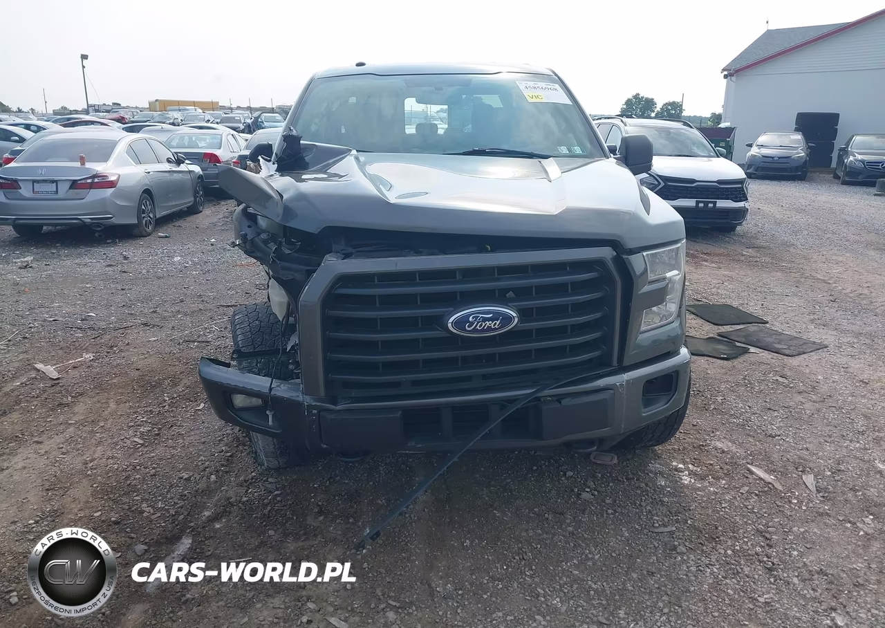 2015 Ford F-150 Xlt VIN:1FTEW1EG8FFC02378 - 13