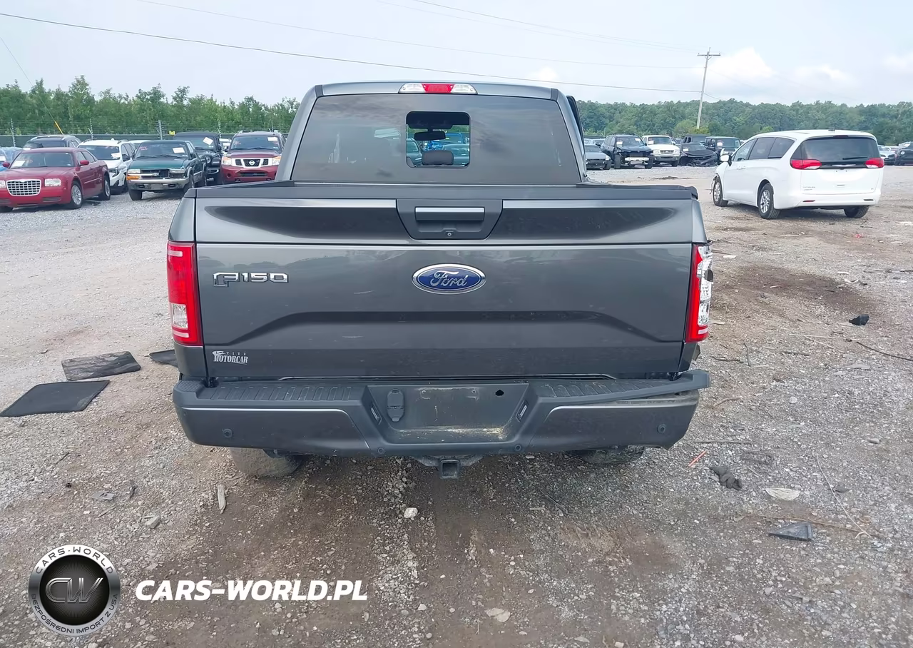 2015 Ford F-150 Xlt VIN:1FTEW1EG8FFC02378 - 17
