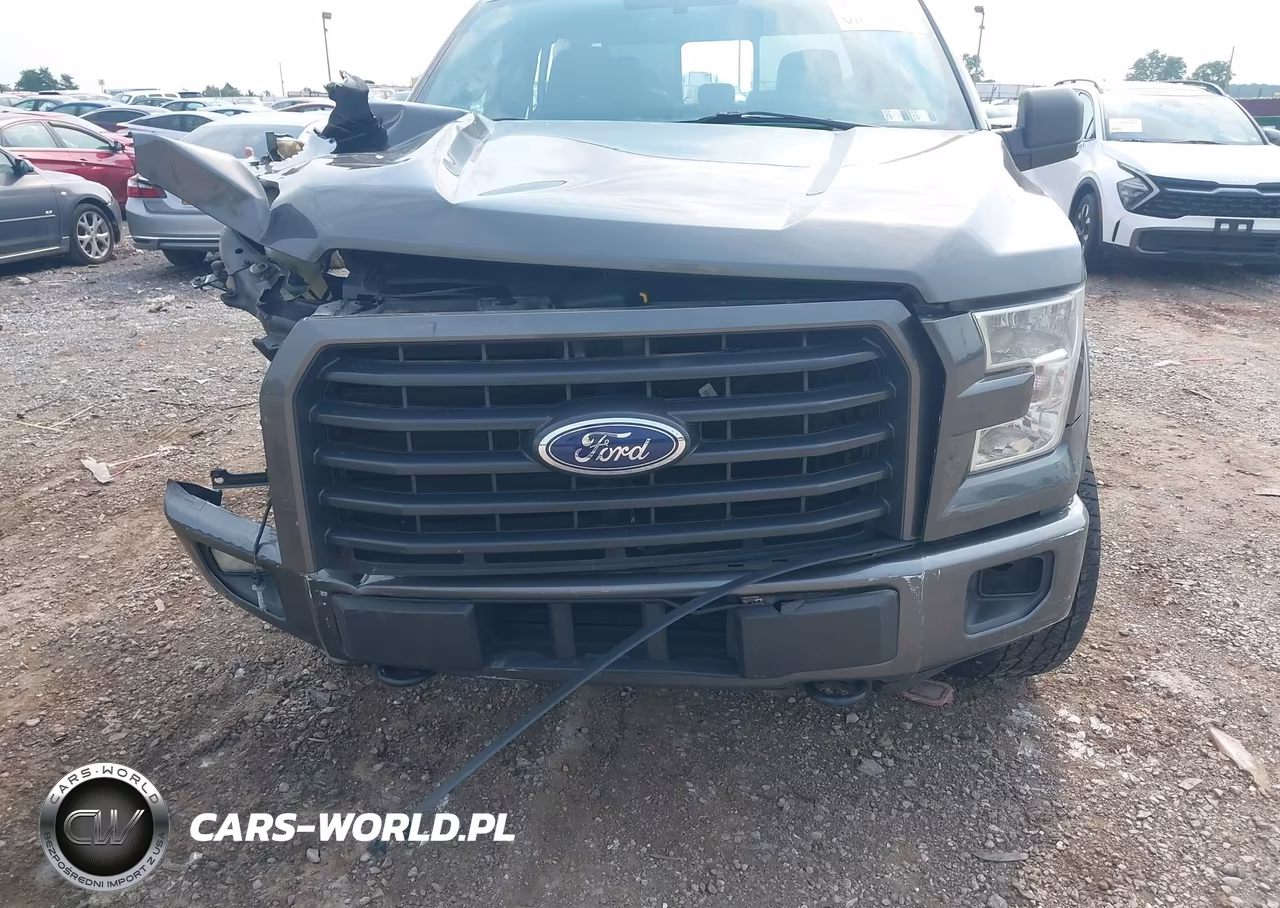 2015 Ford F-150 Xlt VIN:1FTEW1EG8FFC02378 - 6