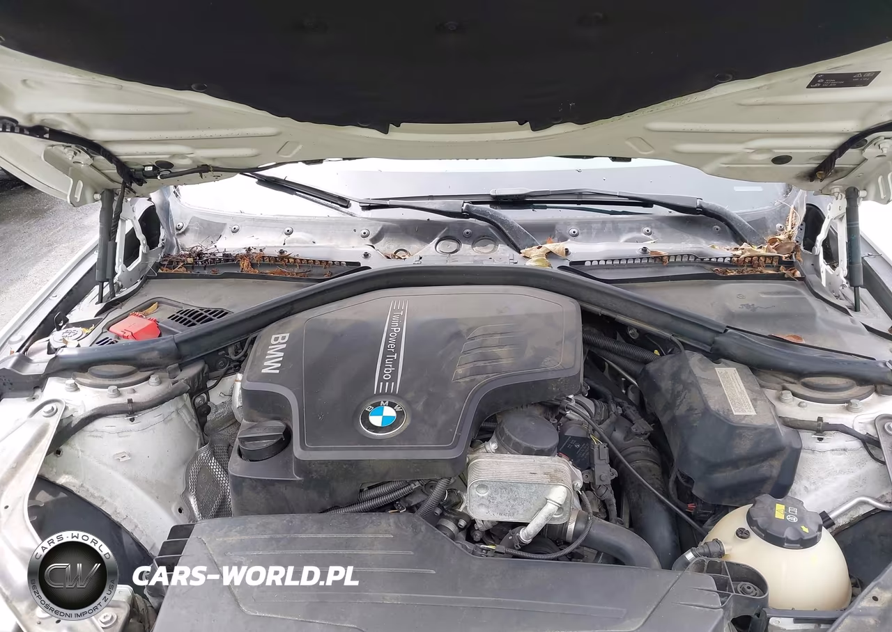 2016 BMW 428I VIN:WBA3V7C53G5A26474 - 10