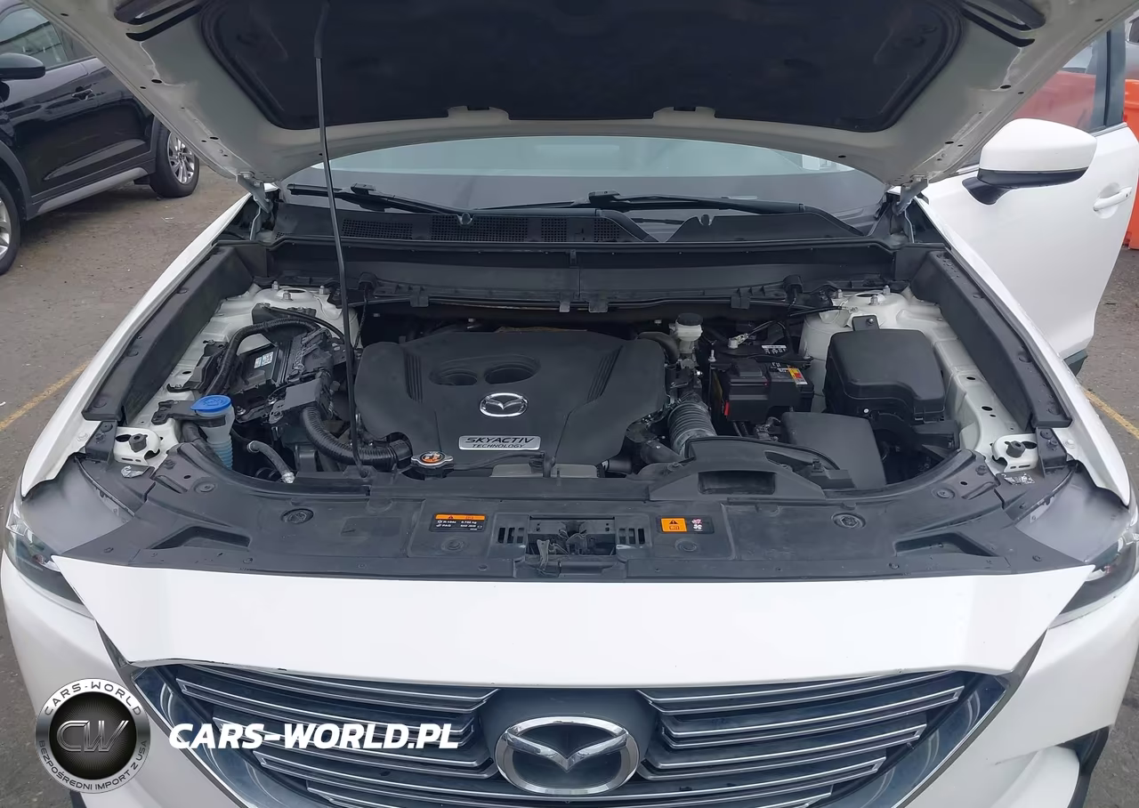 2016 Mazda Cx-9 Touring VIN:JM3TCBCY1G0123115 - 10