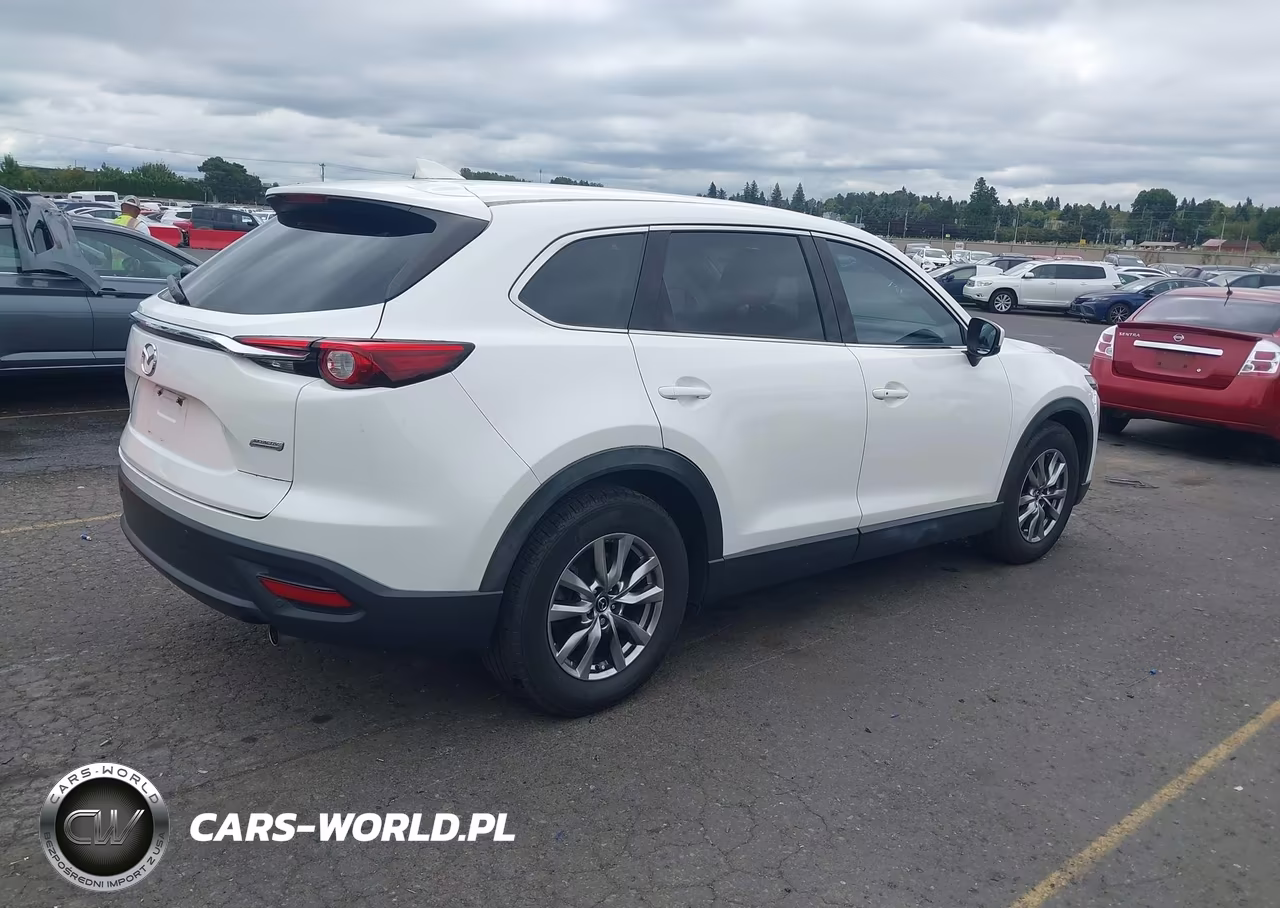 2016 Mazda Cx-9 Touring VIN:JM3TCBCY1G0123115 - 4