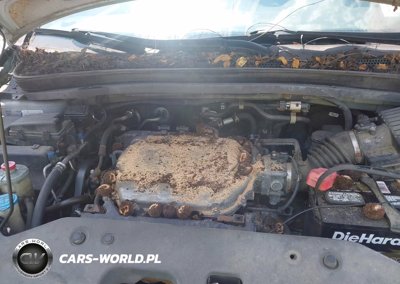 2010 Honda Odyssey Ex-L VIN:5FNRL3H60AB057486 - 10