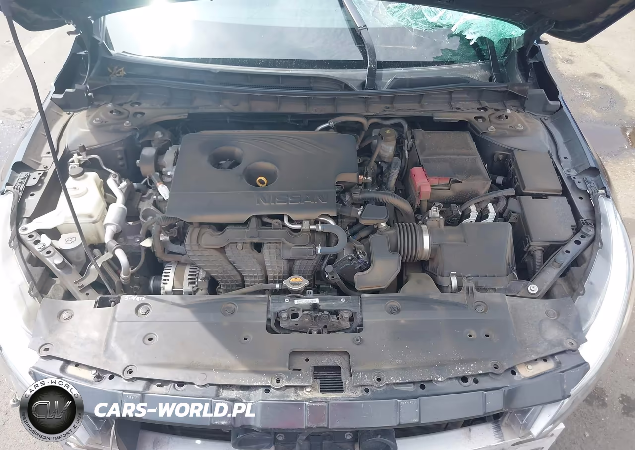 2019 Nissan Altima 2.5 Platinum VIN:1N4BL4FW5KC156951 - 10