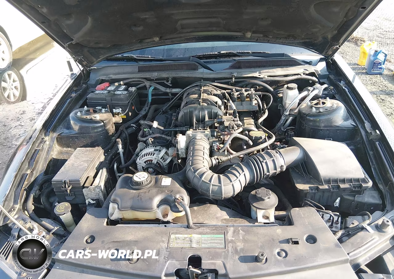 2009 Ford Mustang V6-V6 Premium VIN:1ZVHT80N295121825 - 10