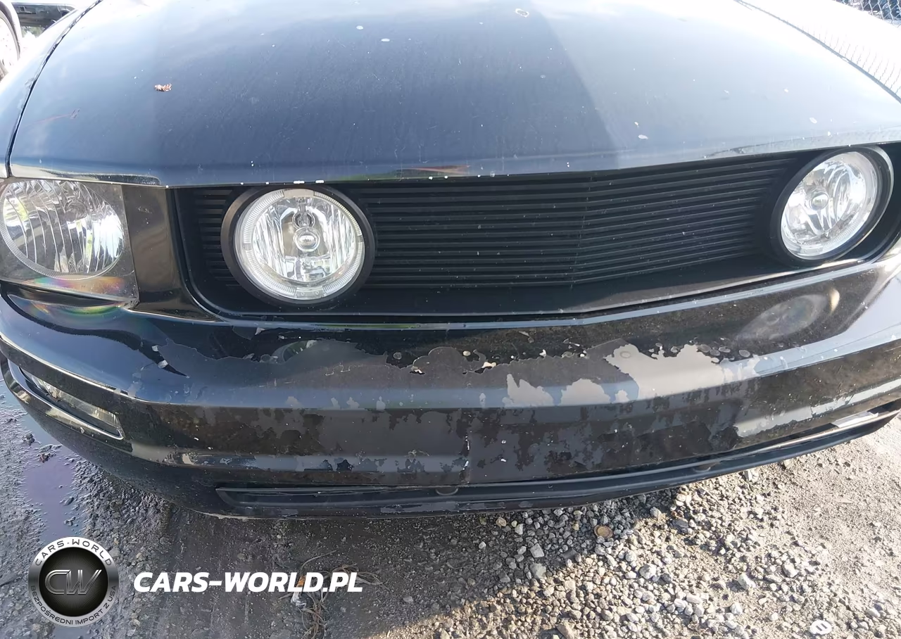 2009 Ford Mustang V6-V6 Premium VIN:1ZVHT80N295121825 - 15