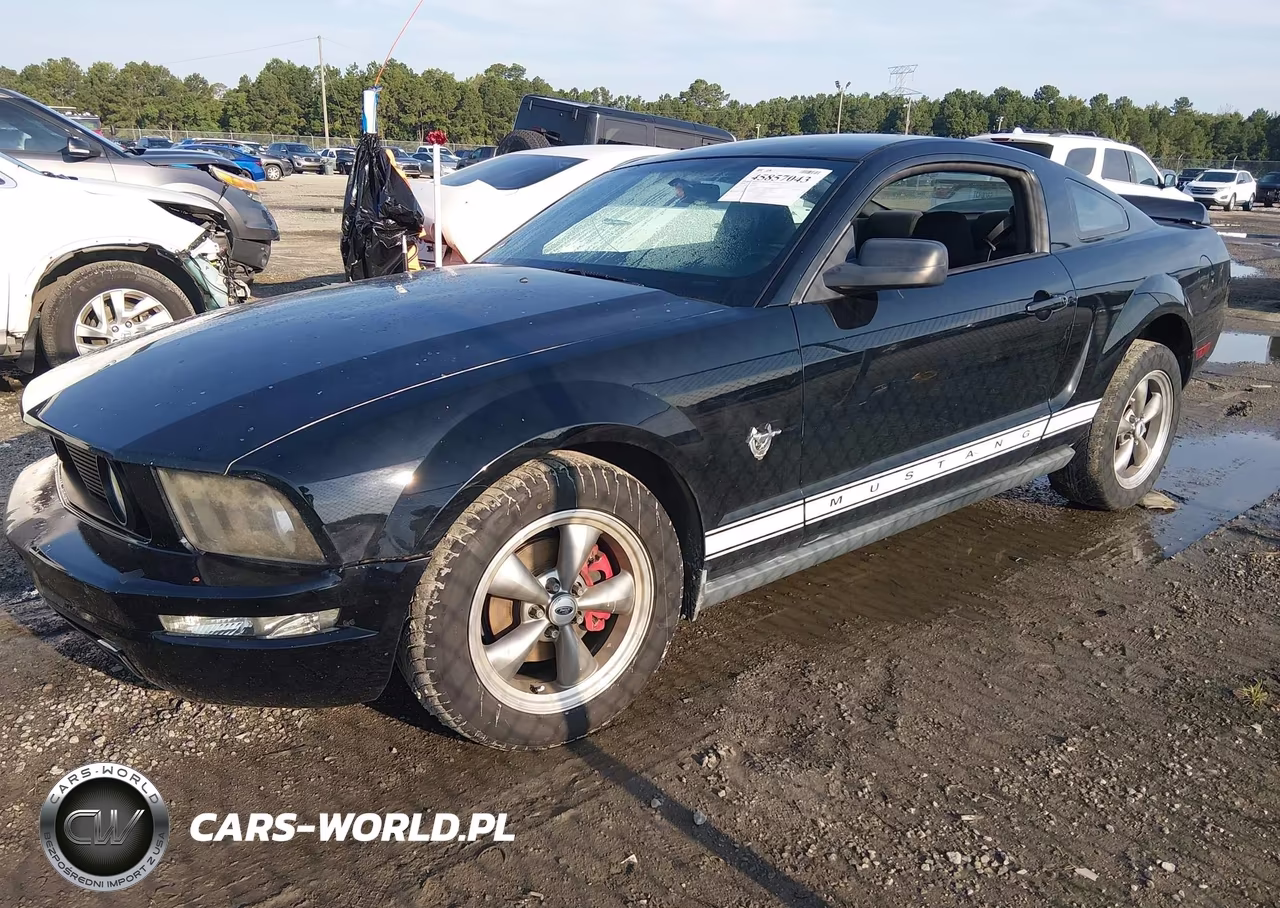 2009 Ford Mustang V6-V6 Premium VIN:1ZVHT80N295121825 - 2