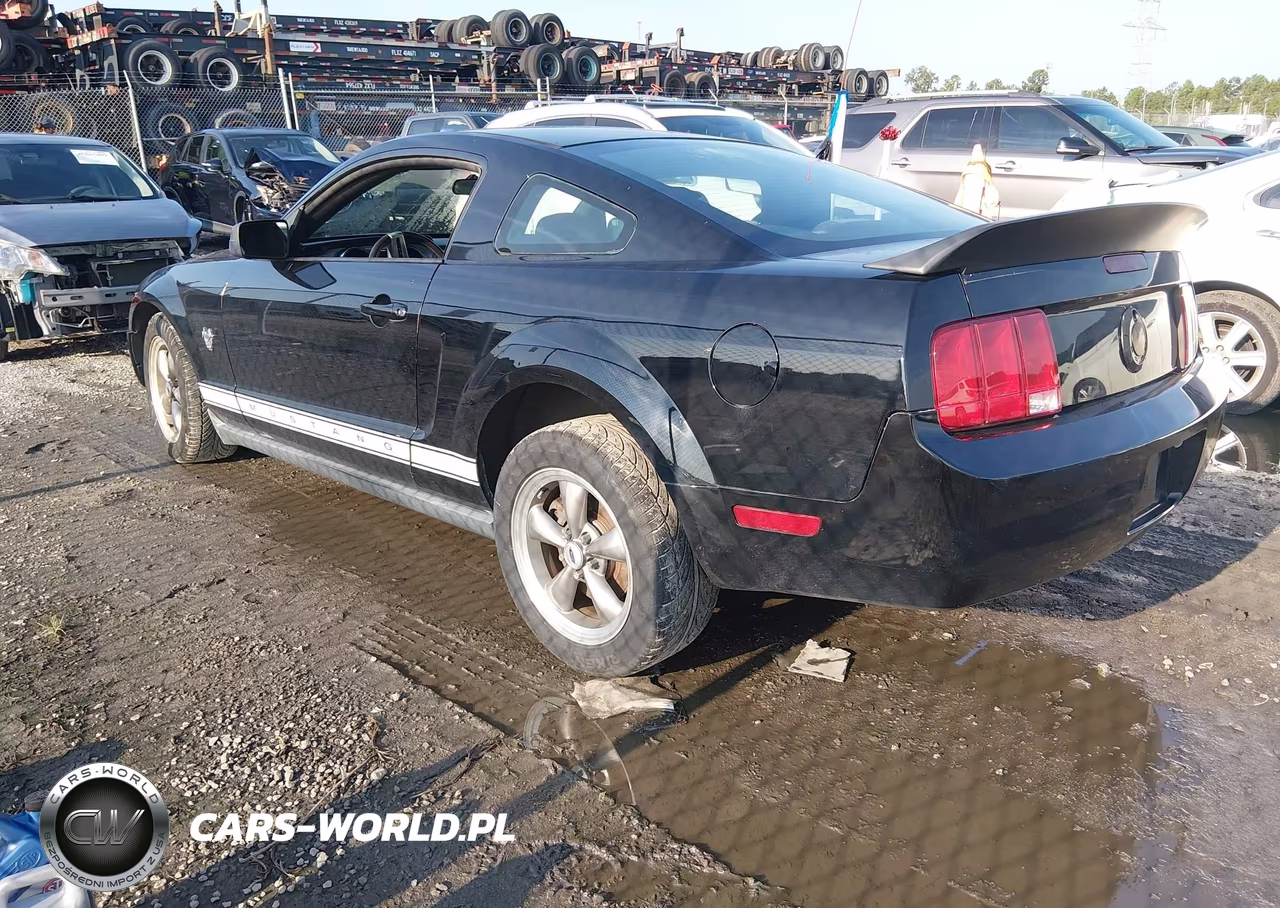 2009 Ford Mustang V6-V6 Premium VIN:1ZVHT80N295121825 - 3